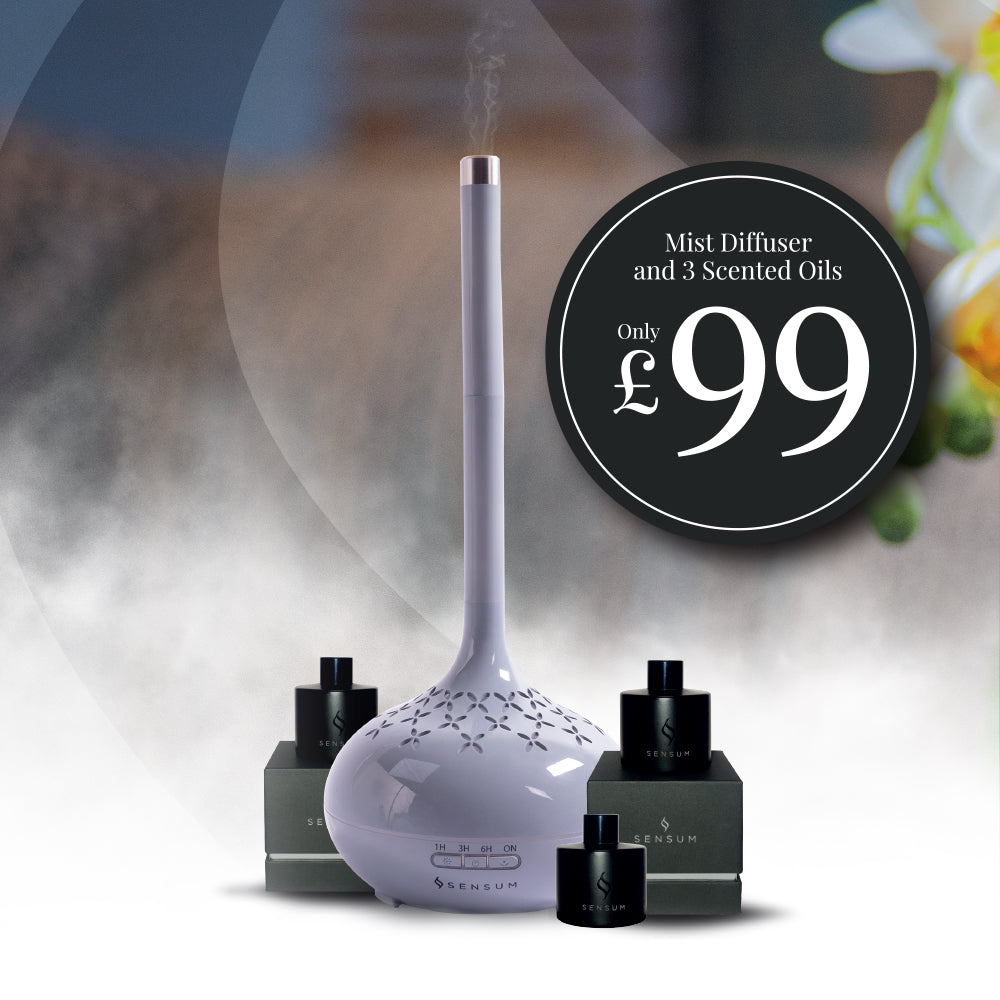 Light Grey Sensum Diffuser + 3 Fragrance Oils
